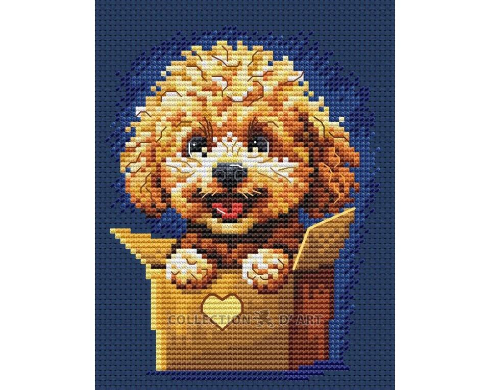 Útsaumur - Surprise for You