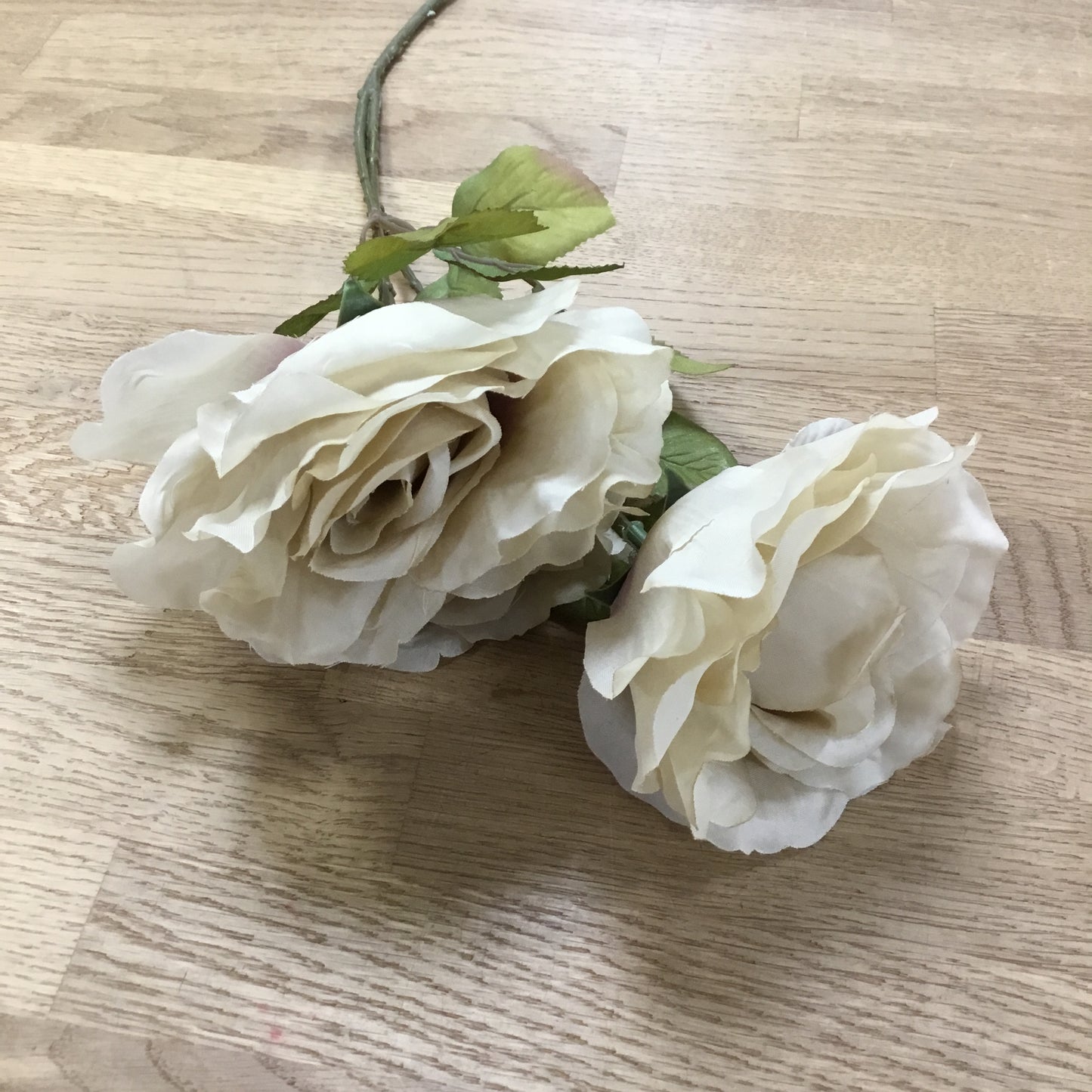 Blóm - Rósir 3 á grein