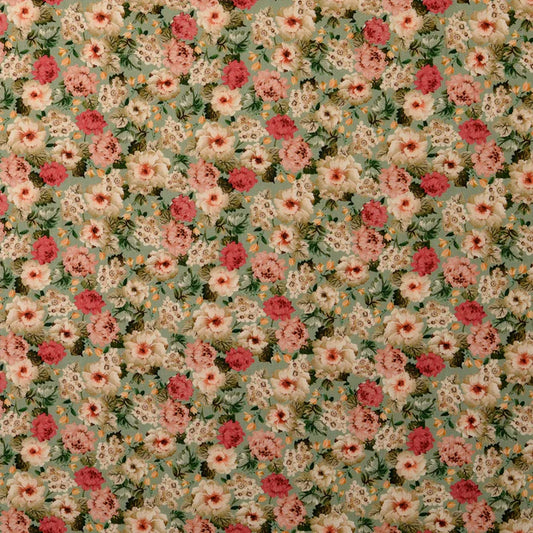 Poplin 100co