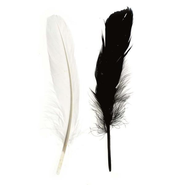 Indian feathers 15stk