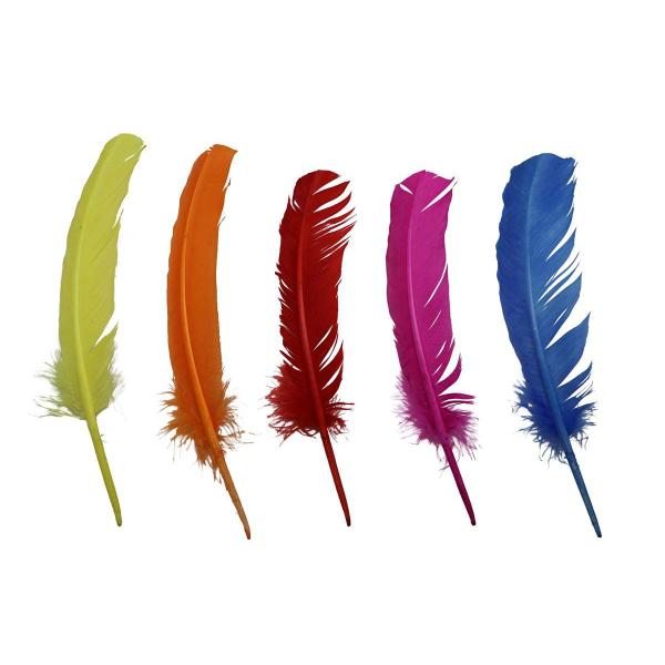 Indian feathers 5stk