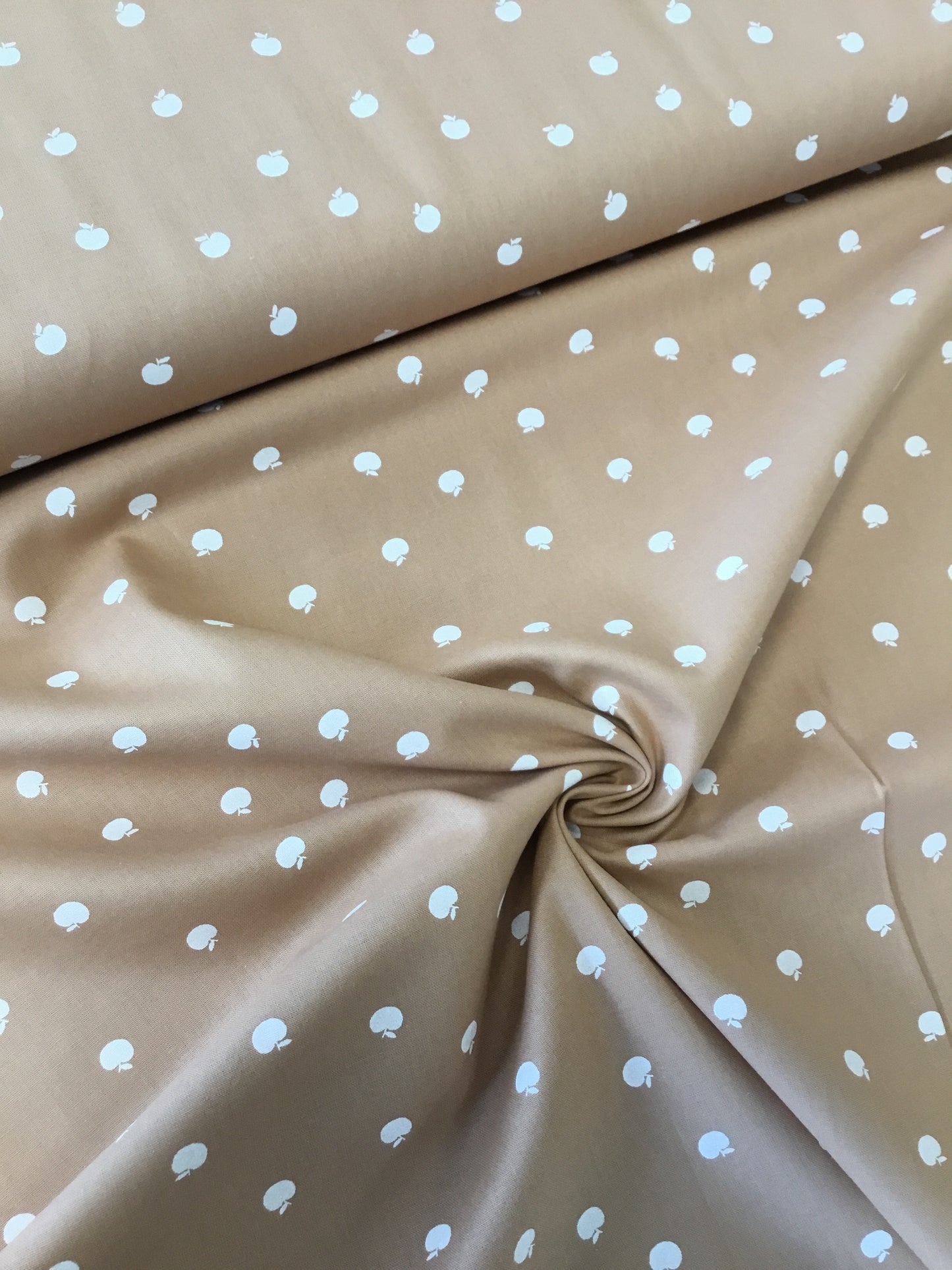 Poplin 100co