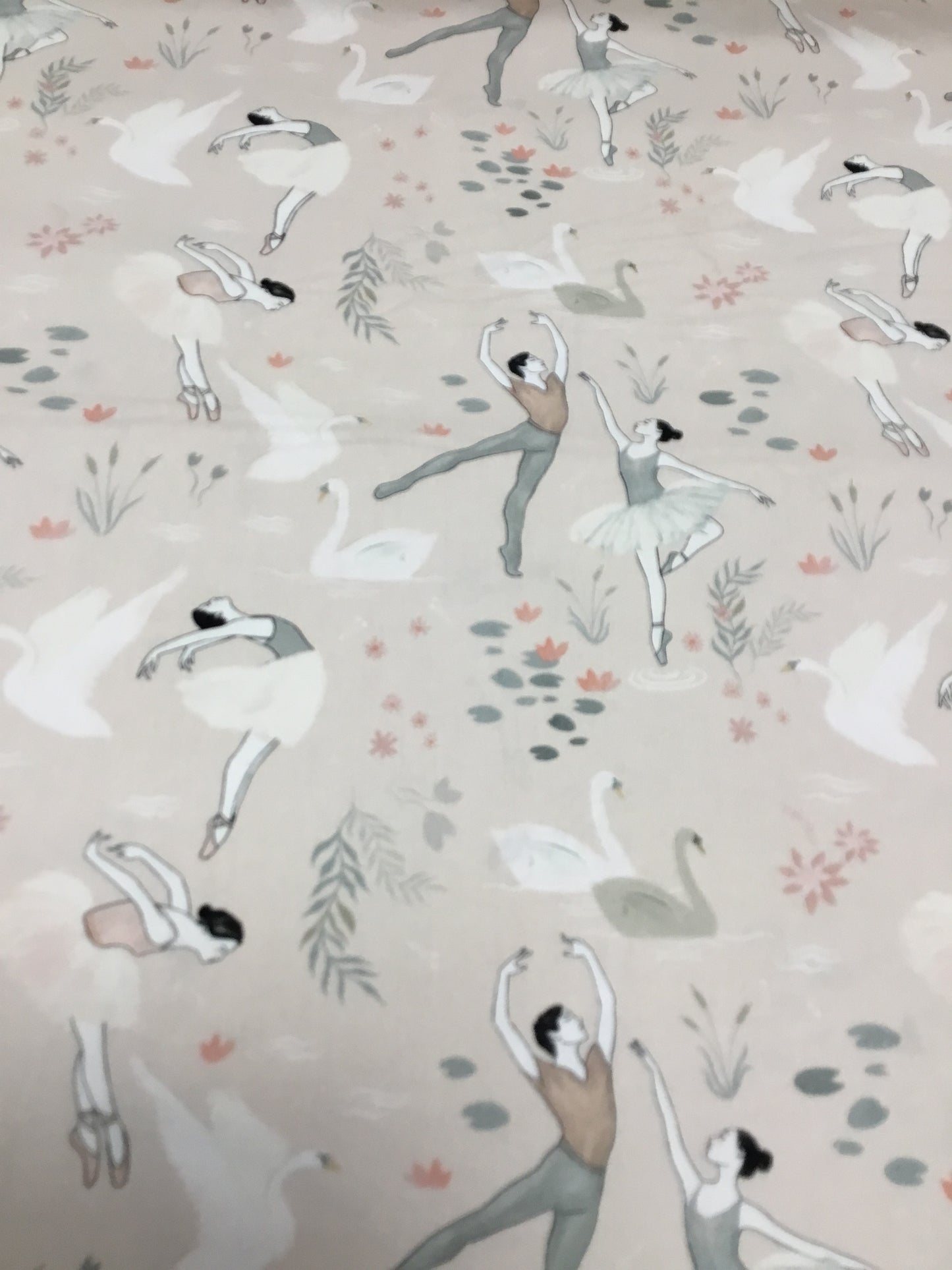Poplin 100co
