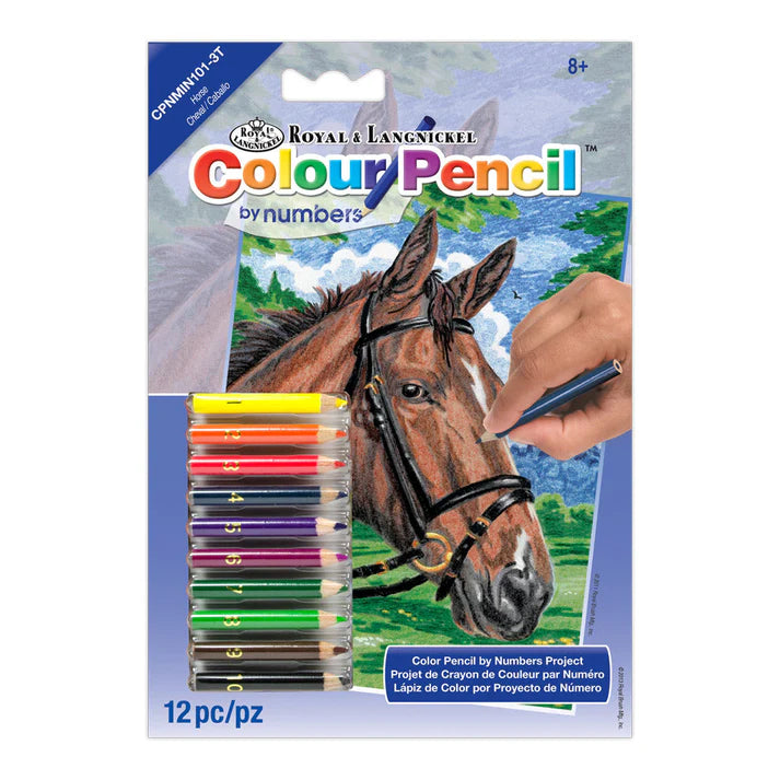 Colour Pencil by numbers - Horse project