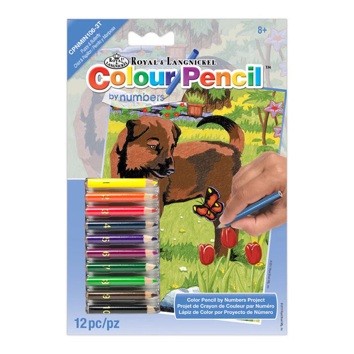 Colour Pencil by numbers - Puppy & butterfly