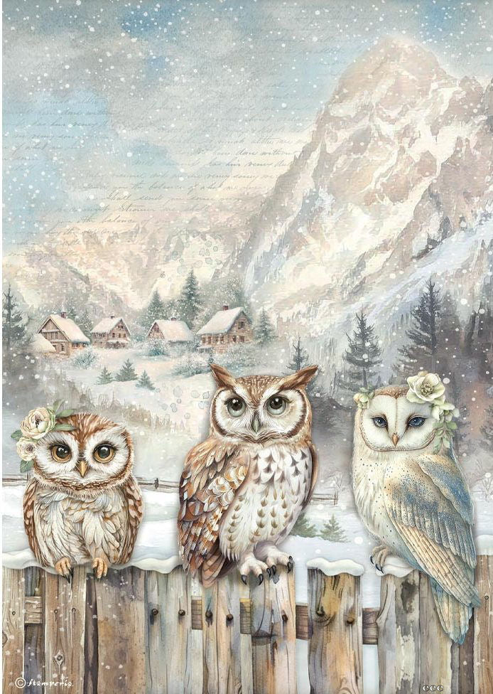 Ríspappír A4 - The Owl's House 3 owls