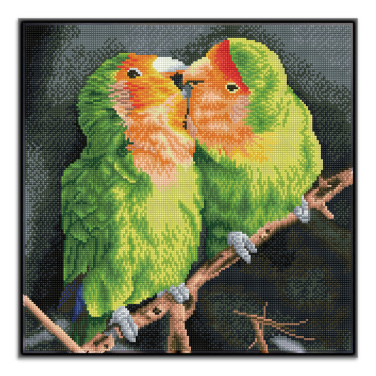 Diamond Painting - Birds