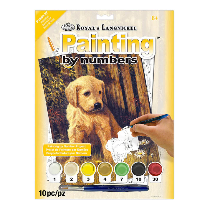 Paint by numbers / Puppy Blues