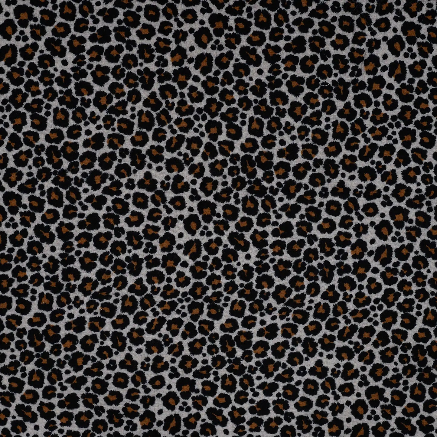 Bambino Print - Leopard
