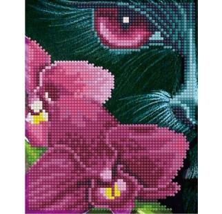 Demantamyndir 17x21sm