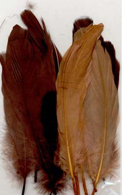 Fjaðrir nature