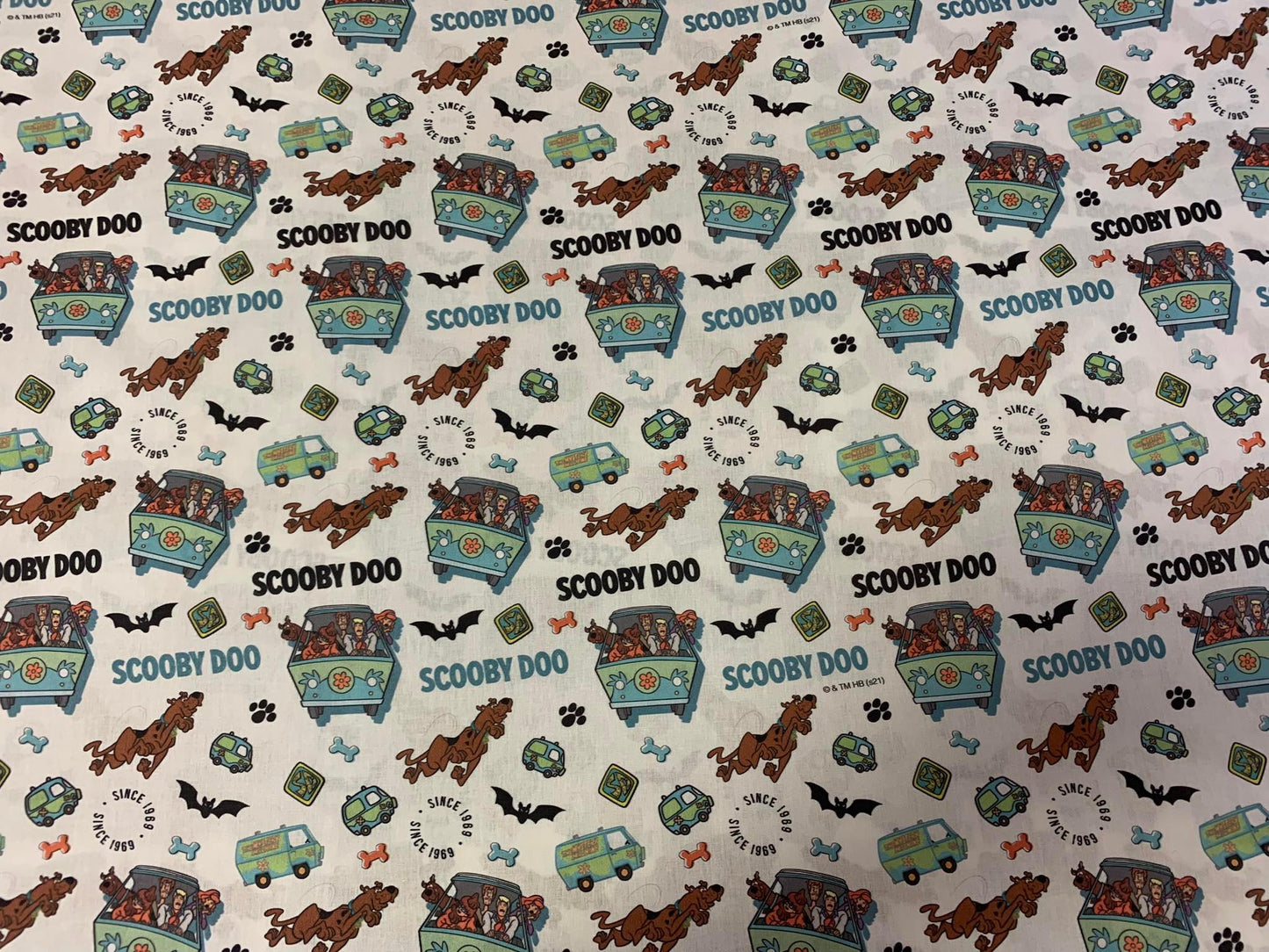 Scooby doo 100co