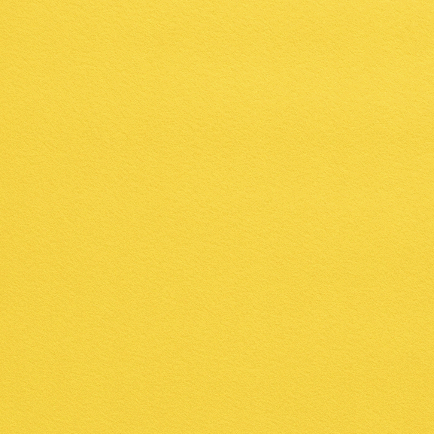Filt / Felt