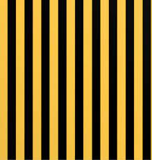 Efni Stripe 100co