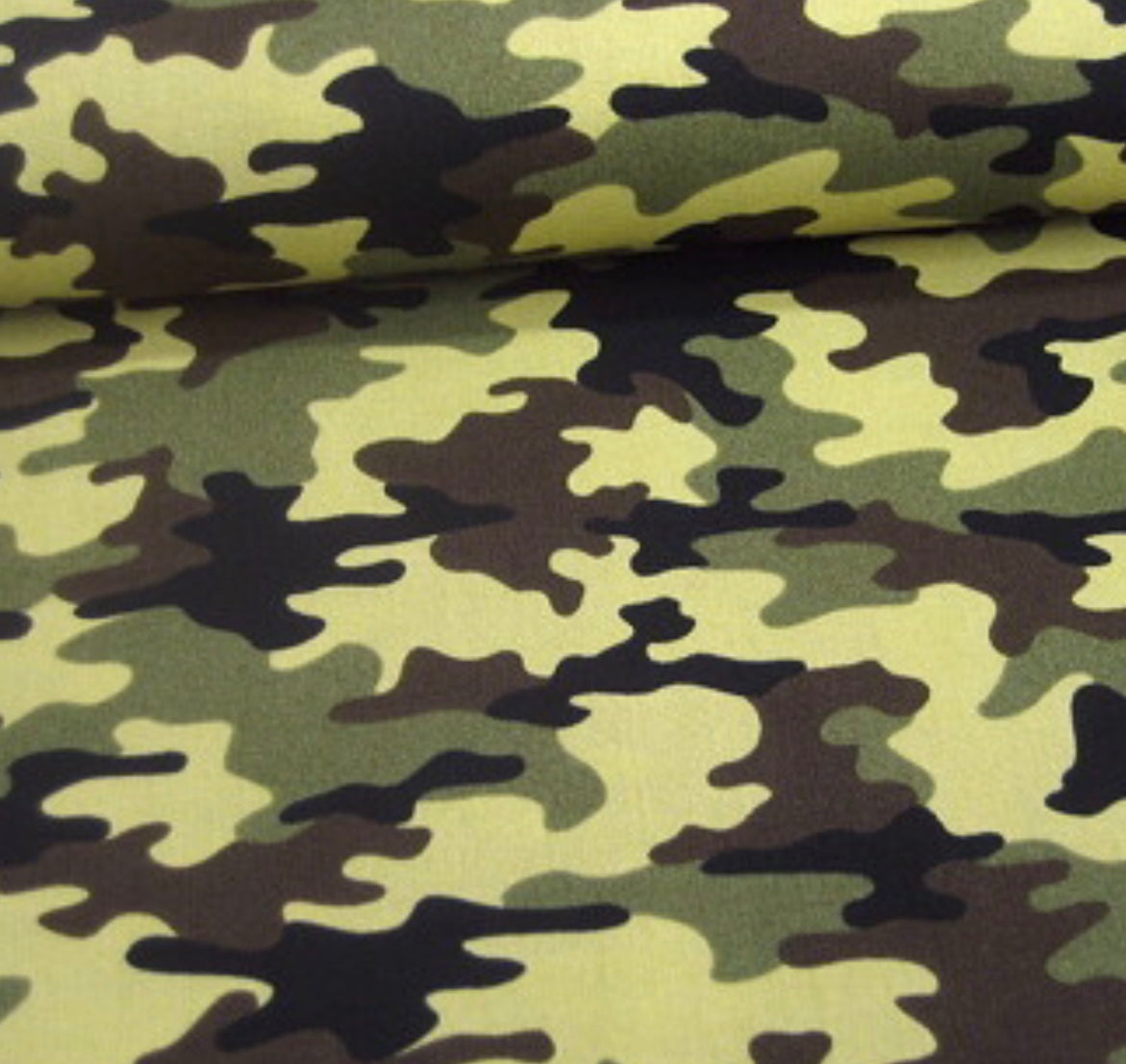 Poplin 100co
