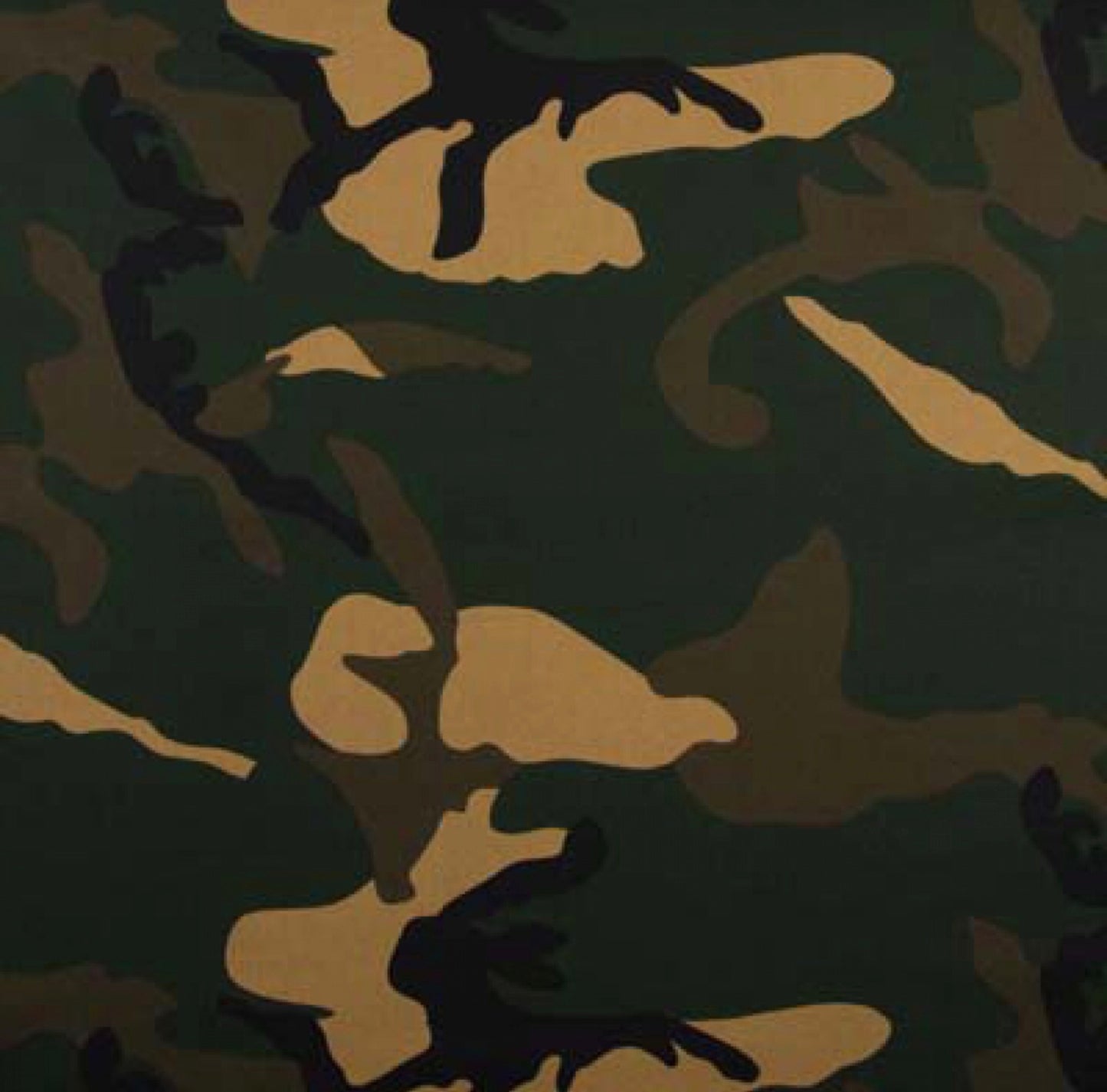 Poplin 100co