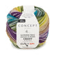 Katia - CraSy Symmetric Socks & More