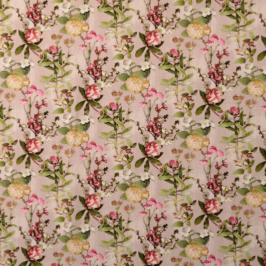 Poplin 100co