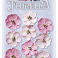 Florella - Rose