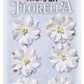 Florella - White