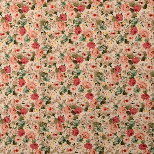 Poplin 100co