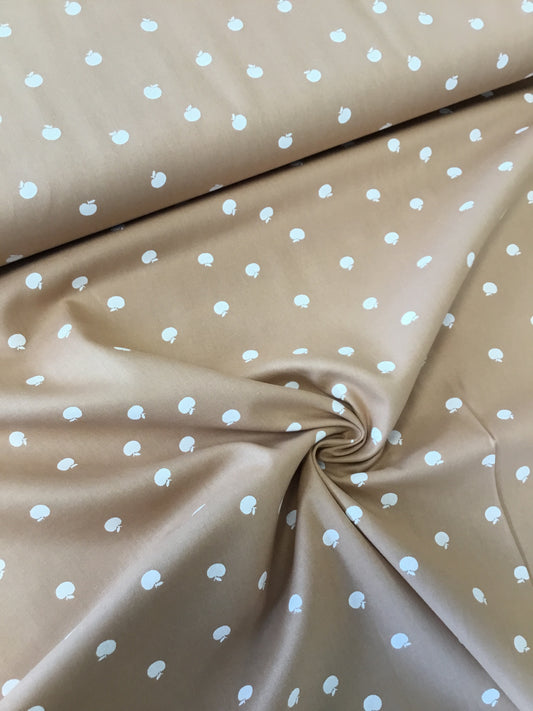 Poplin 100co