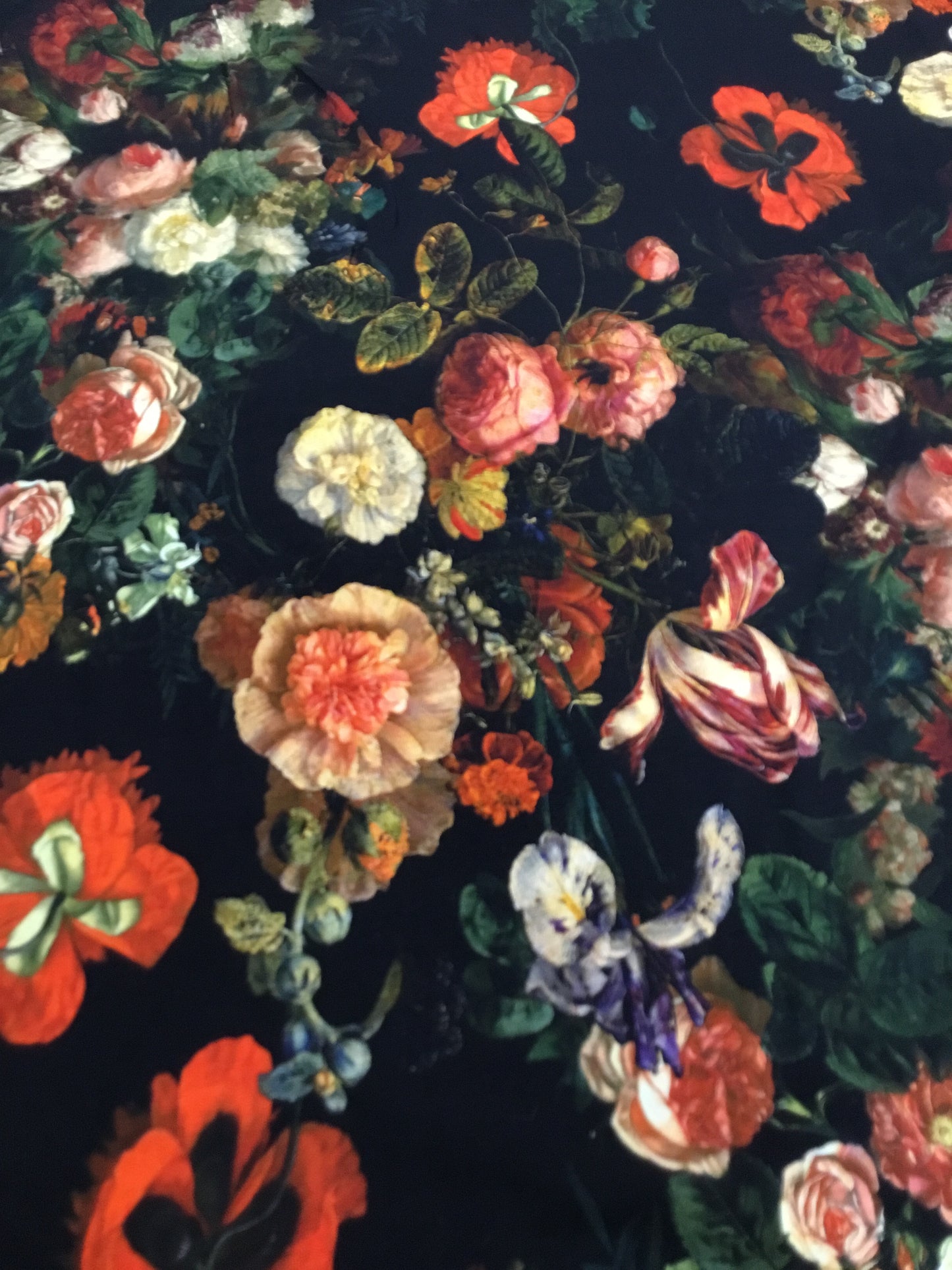 Bómullarjersey - Flowers Black