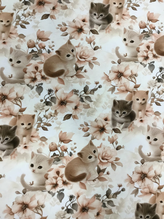 Bómullarjersey - kittens