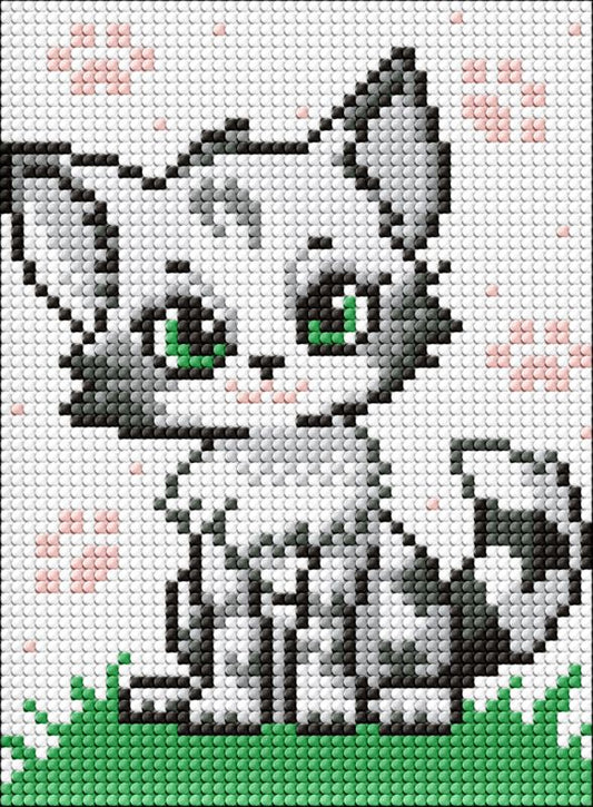Demantamynd 15x20
