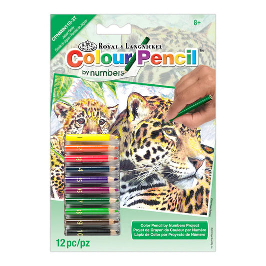 Colour Pencil by numbers - Jaguars