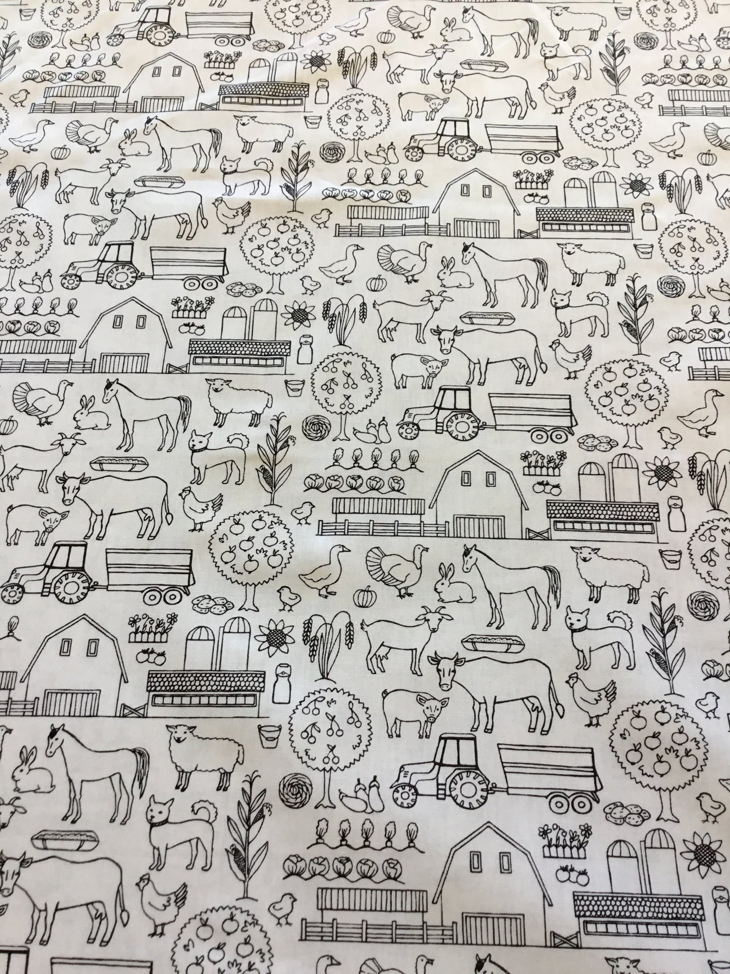 Poplin  100co
