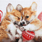 Diamond Painting - Corgis