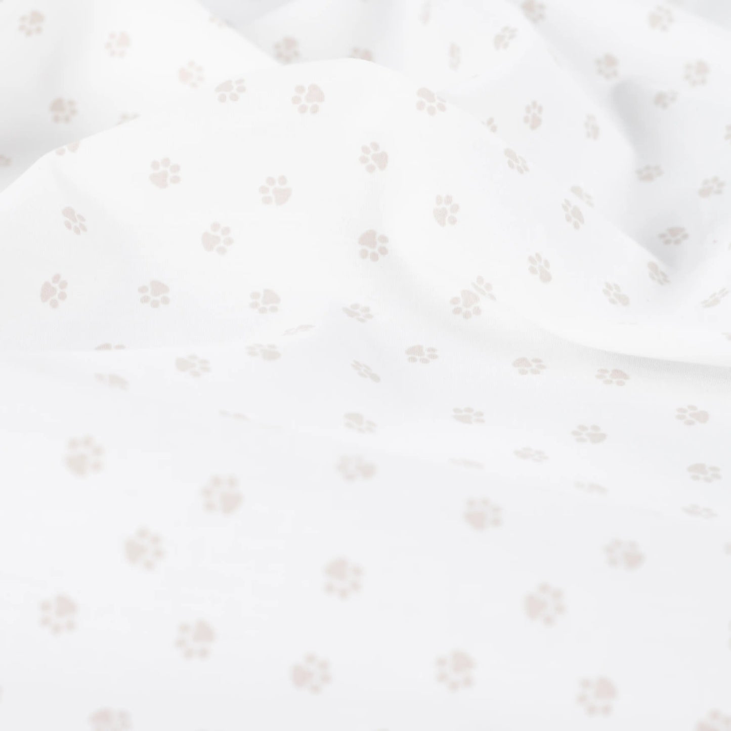 Cotton Poplin Print - Paws