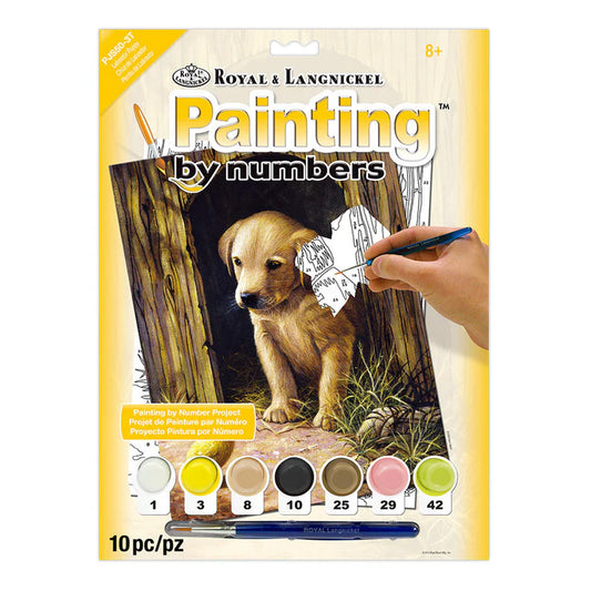 Paint by numbers / Labrador Puppy