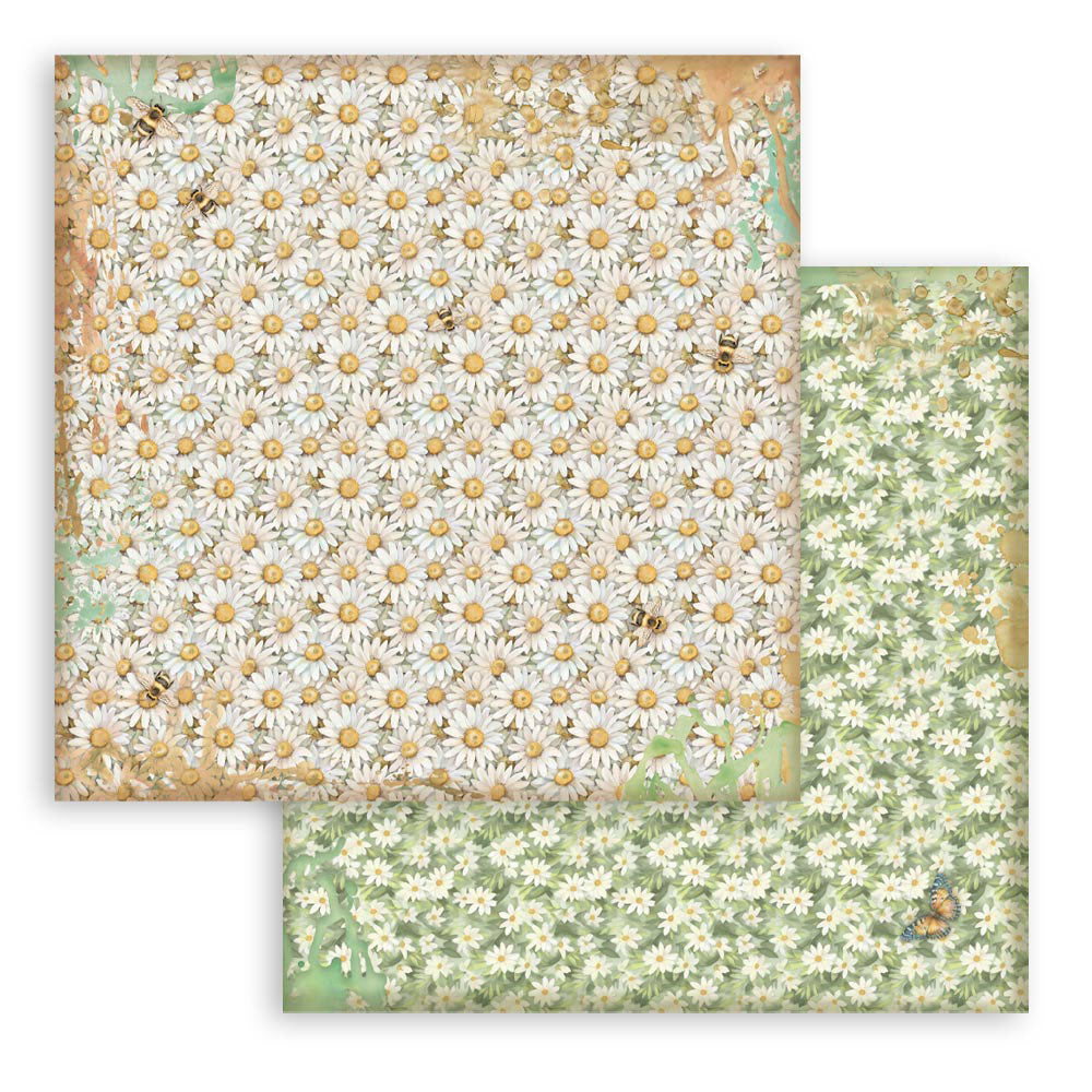 Pappír 8x8 - Daisy Art
