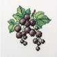 Útsaumur - "Blackcurrant"