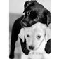 Diamond painting - Black & white puppies  19x27sm