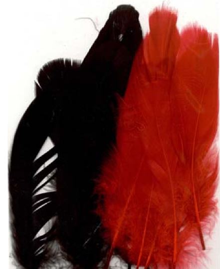 Feathers black and red, 15pcs