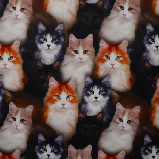 Digital Print - Cats