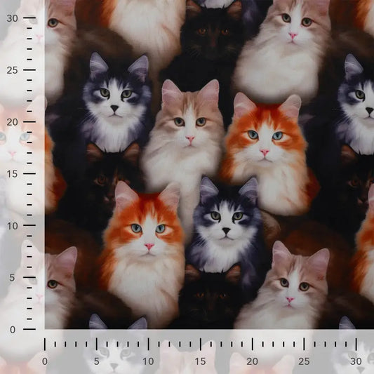 Digital Print - Cats