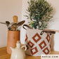 Katia - Ecolife Ribbon