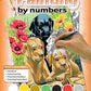 Painting by numbers / Labrador Puppies