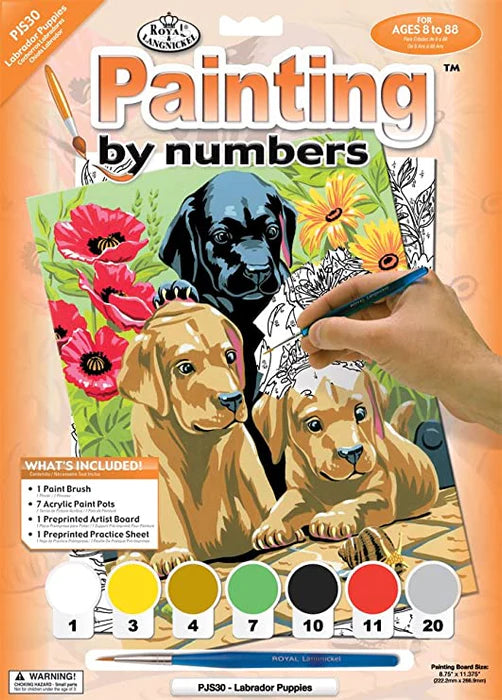 Painting by numbers / Labrador Puppies