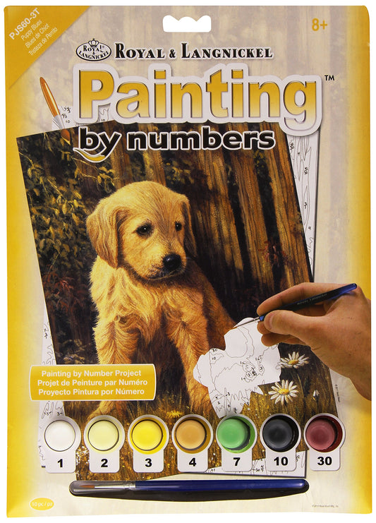 Painting by numbers / Puppy Bl.