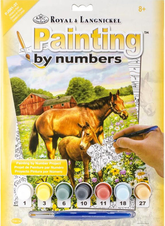 Painting by numbers / Horse in Field