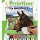 Painting by numbers / Eq. Paddock