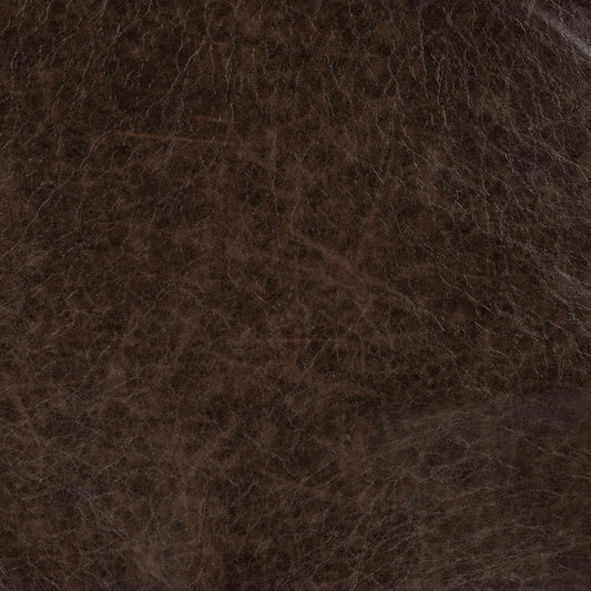 Antique Leather 22858