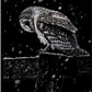 Engraving art / Snowfall at Night
