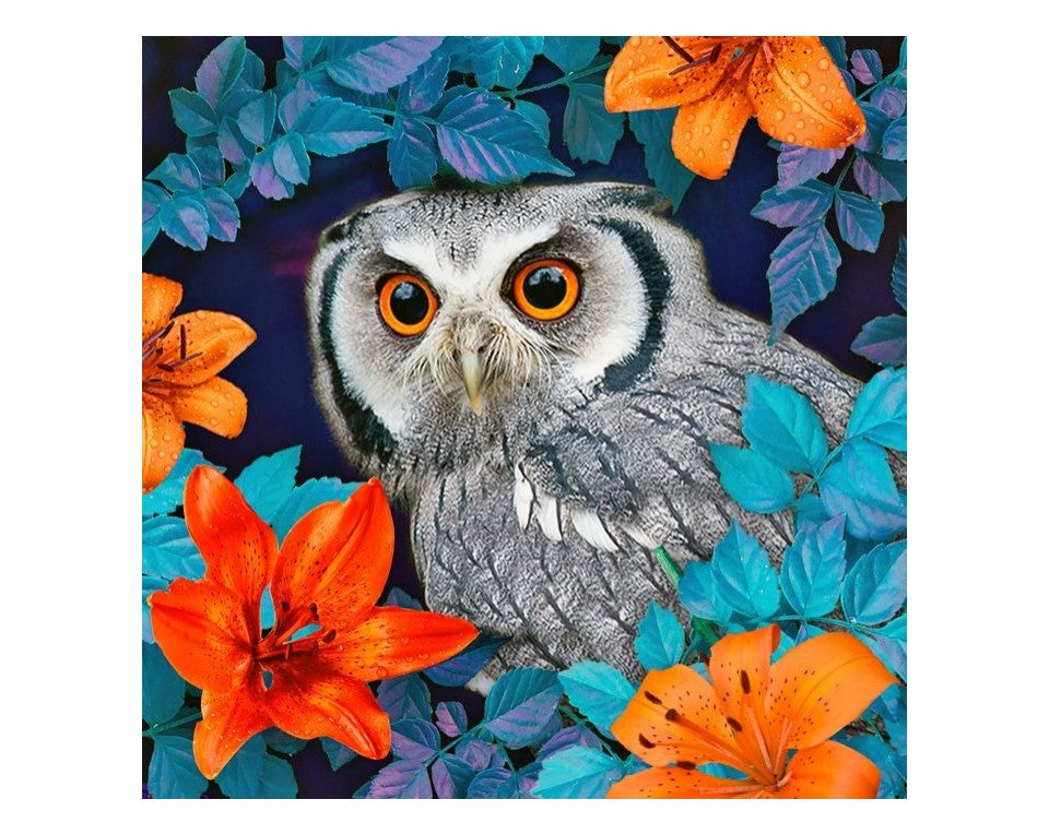 Diamond Painting - Owl and lilies