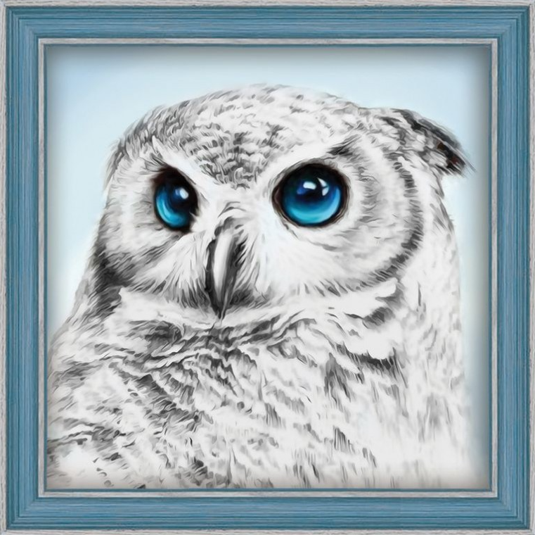 Diamond Painting - Blue Eyed Owl